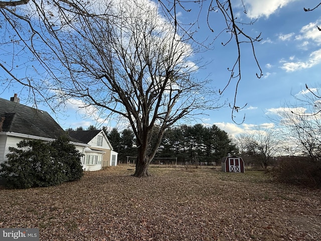 view of yard with a storage shed