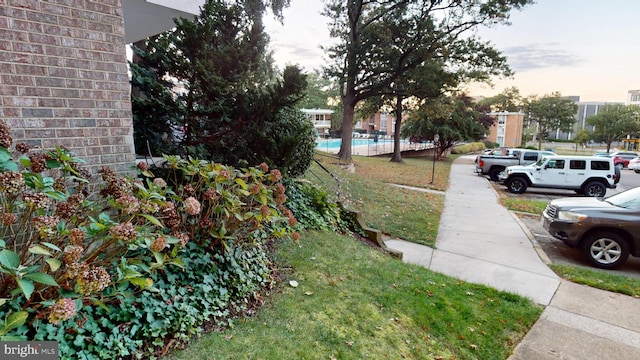 view of yard at dusk