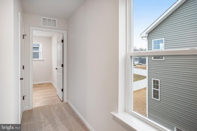 35551 Aspen Way, Locust Grove, VA 22508 - corridor with light carpet