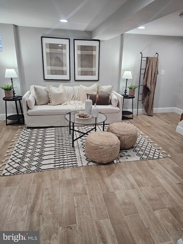 living room featuring light hardwood / wood-style flooring