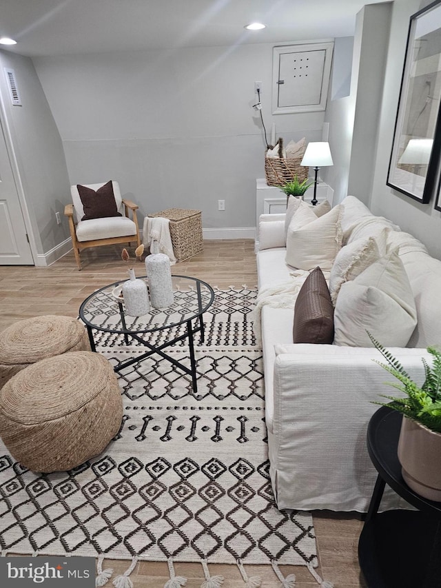 living room featuring wood-type flooring