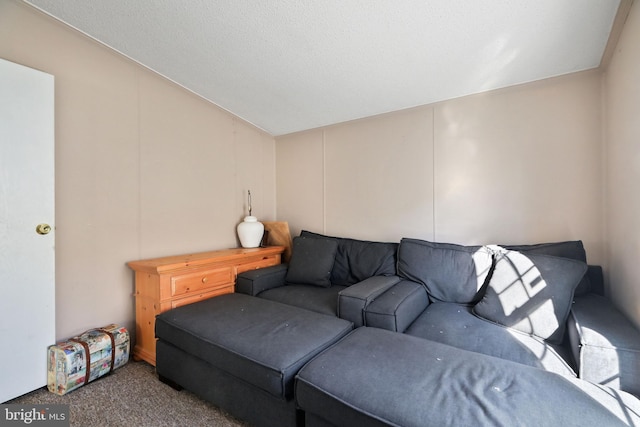 carpeted living room with a textured ceiling