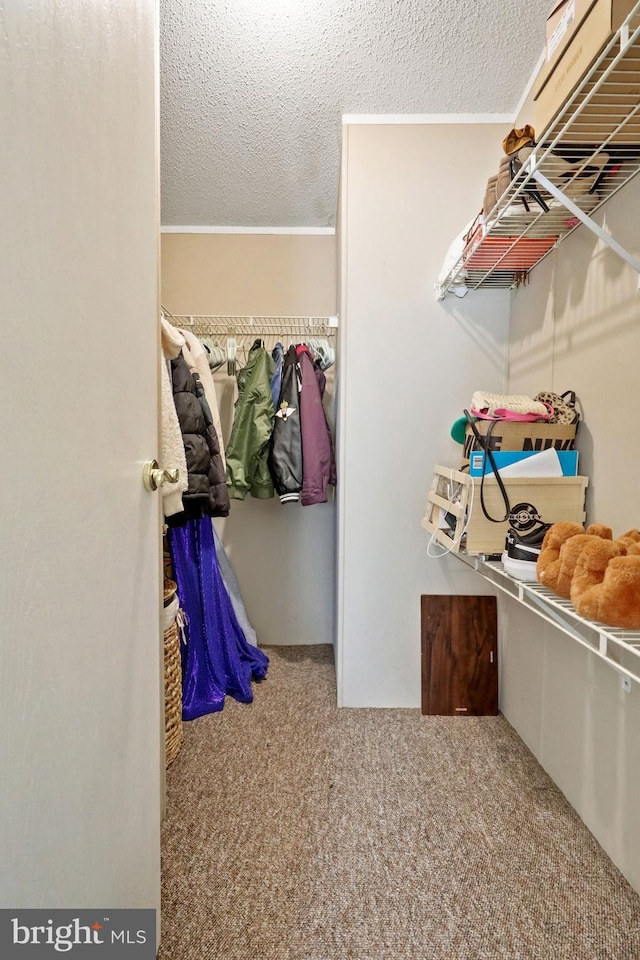 spacious closet with carpet