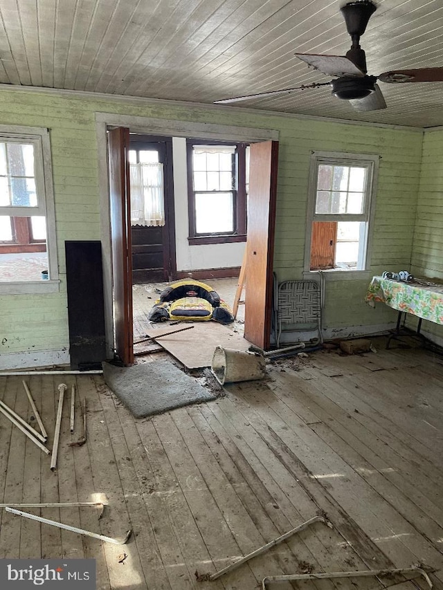 interior space featuring a wealth of natural light, hardwood / wood-style floors, and ceiling fan