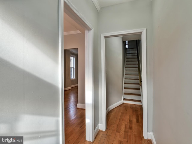 hall featuring light hardwood / wood-style floors and ornamental molding