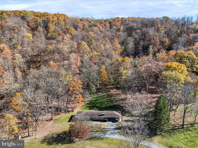 aerial view