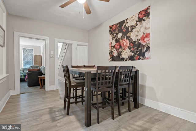 dining area with ceiling fan and light wood-type flooring