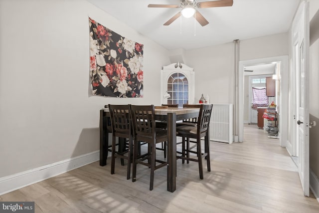 dining space with light hardwood / wood-style flooring and ceiling fan