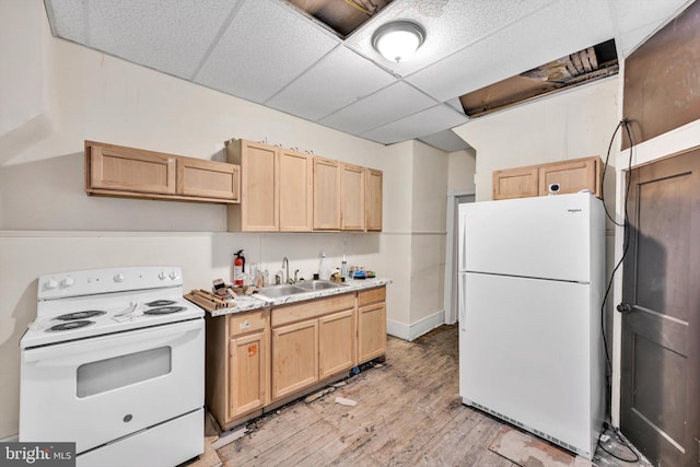 kitchen featuring light wood-type flooring, a paneled ceiling, white appliances, sink, and light brown cabinets