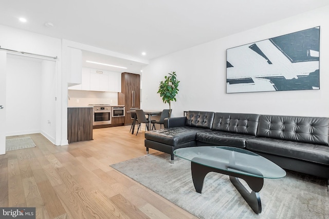 living room featuring light hardwood / wood-style floors