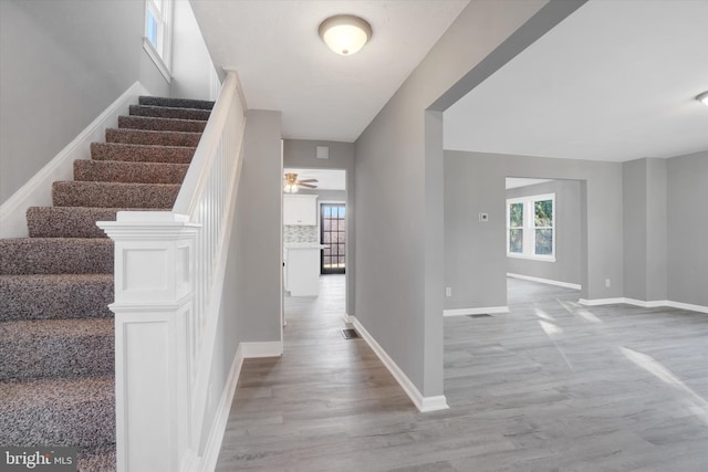 stairs featuring ceiling fan and wood-type flooring