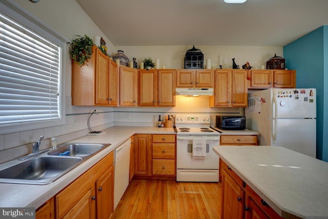 kitchen with backsplash, light wood-type flooring, white appliances, and sink