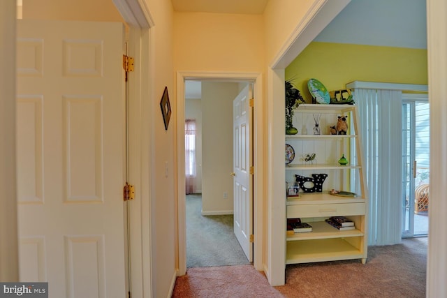 hallway featuring carpet floors