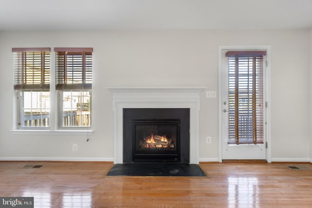 room details with hardwood / wood-style floors