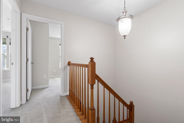 hall featuring light colored carpet