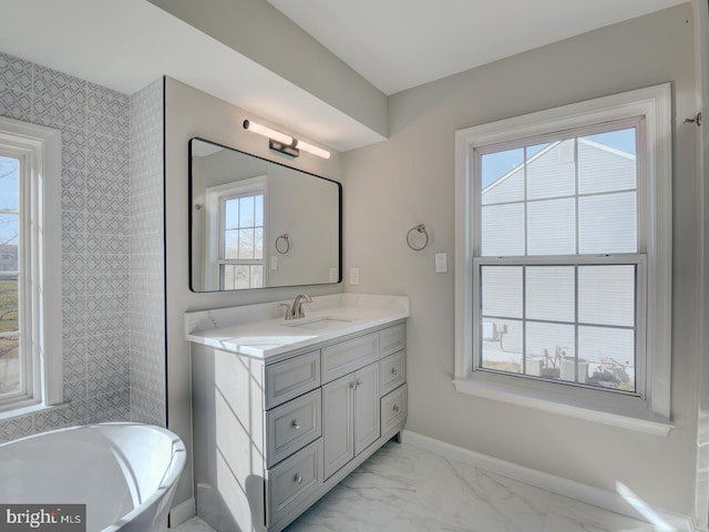 bathroom with vanity and a bathing tub