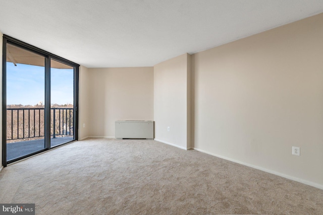 carpeted empty room featuring expansive windows and baseboards