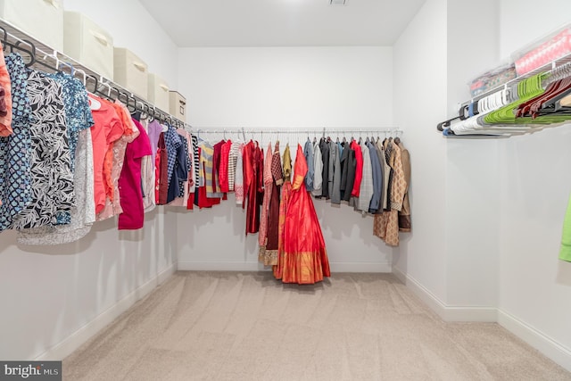 walk in closet with carpet flooring