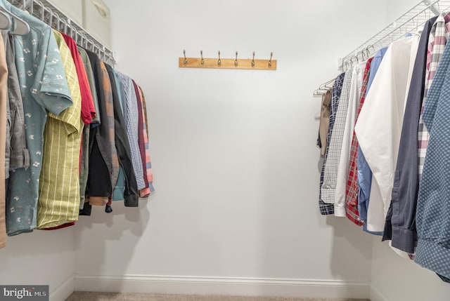 spacious closet with carpet flooring