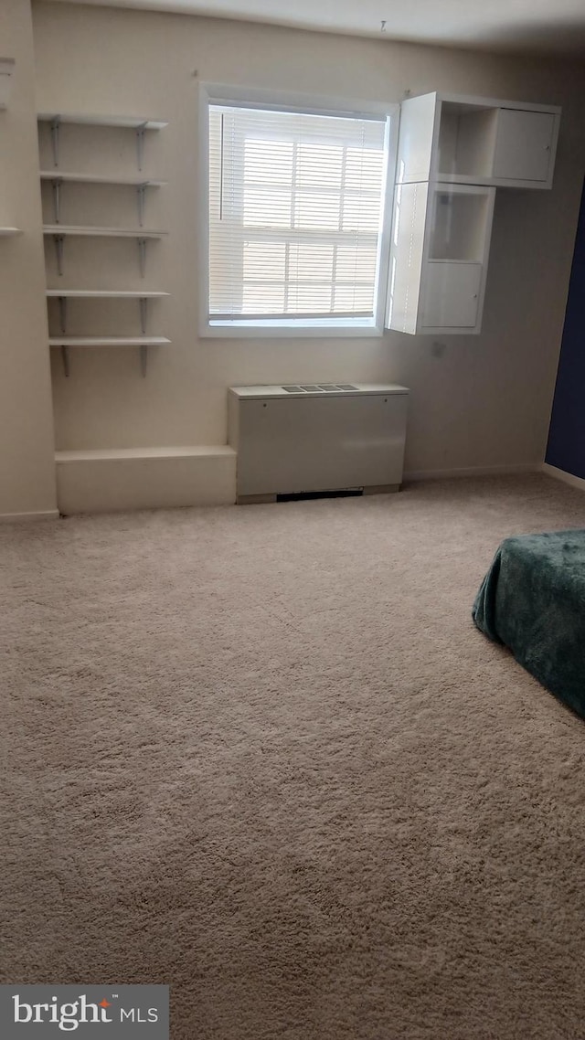 unfurnished bedroom with carpet floors