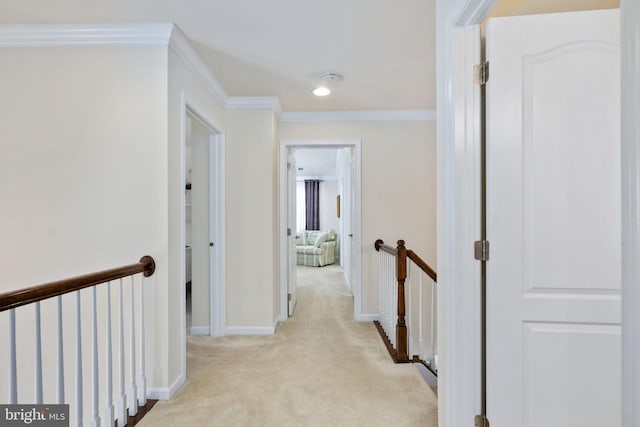 hallway featuring light carpet and crown molding