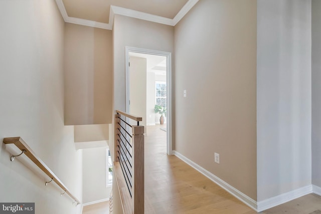 corridor with light wood-type flooring and ornamental molding