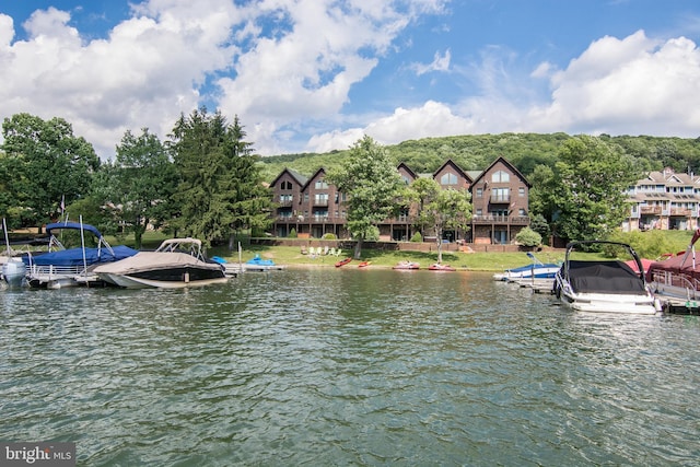 view of water feature with a dock