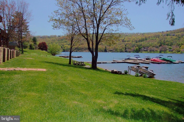 water view with a dock