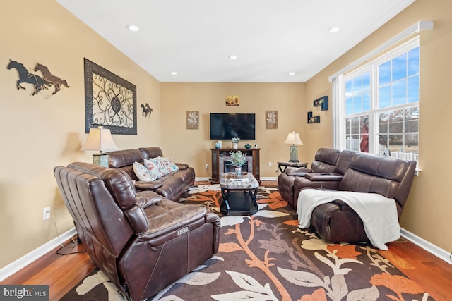 living room featuring hardwood / wood-style flooring