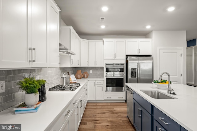 kitchen featuring appliances with stainless steel finishes, blue cabinets, sink, light hardwood / wood-style flooring, and white cabinets