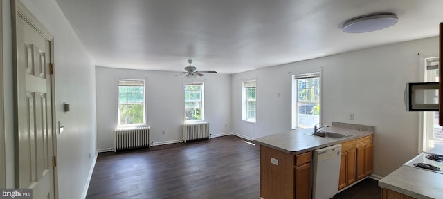 kitchen with dishwasher, dark hardwood / wood-style flooring, radiator heating unit, and sink