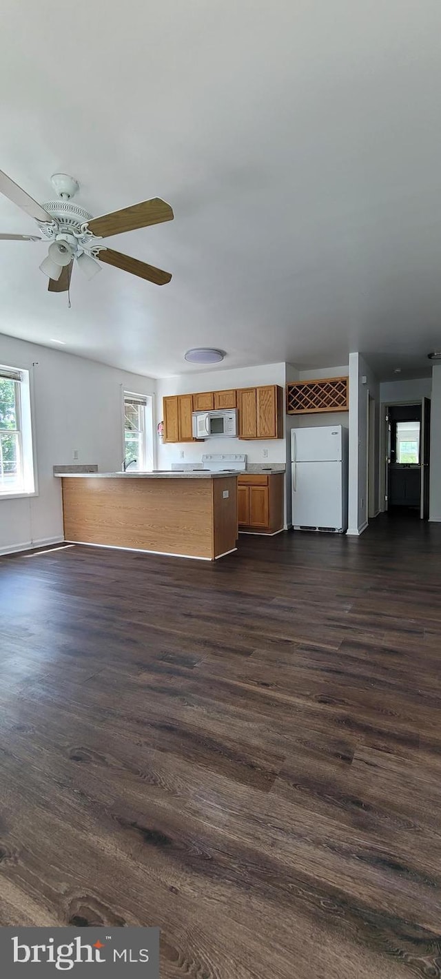 kitchen with ceiling fan, dark hardwood / wood-style flooring, and white appliances