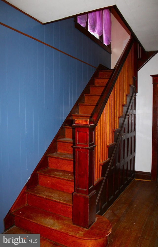 stairs featuring wood walls and wood-type flooring