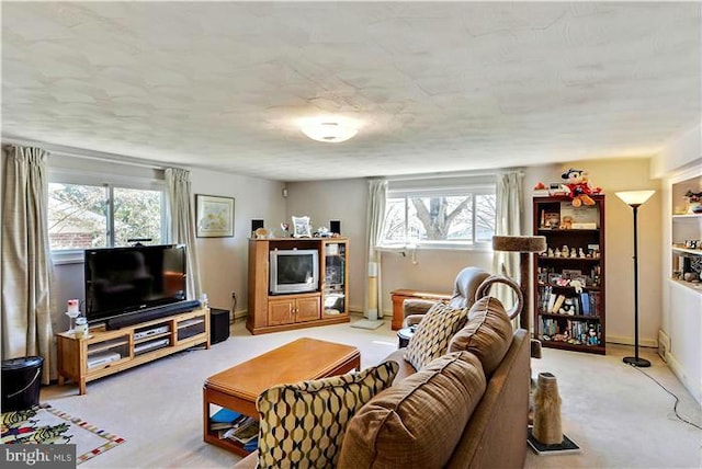 carpeted living room with a wealth of natural light