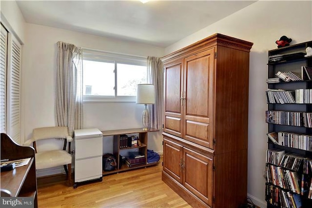 sitting room featuring light hardwood / wood-style flooring