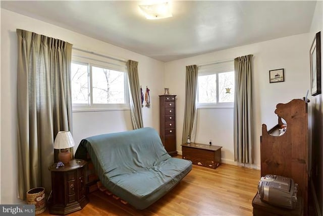 sitting room with a wealth of natural light and light hardwood / wood-style flooring