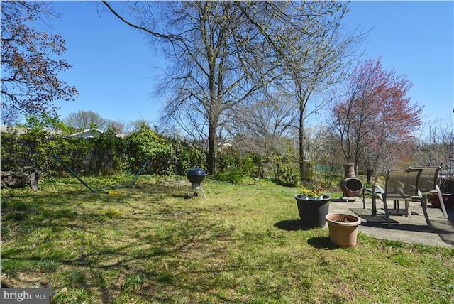 view of yard featuring a patio and a trampoline