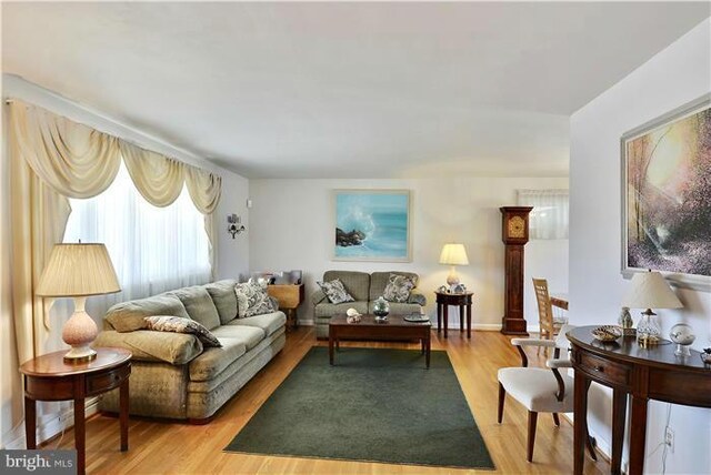 living room with light hardwood / wood-style flooring