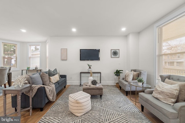 living room with hardwood / wood-style floors