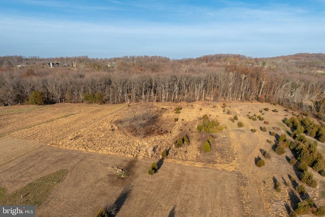 birds eye view of property with a rural view