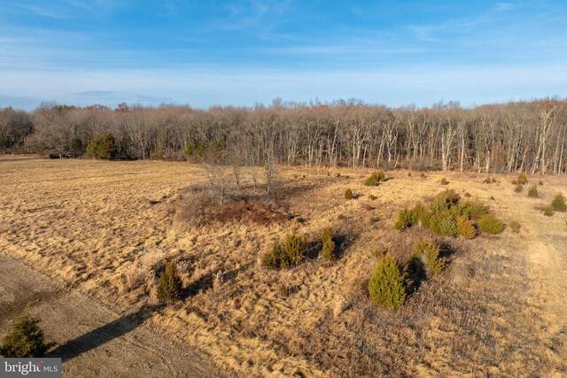 view of nature with a rural view