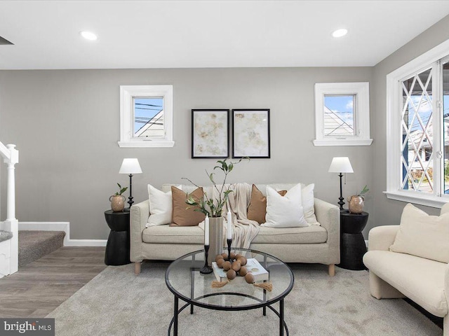 living room featuring plenty of natural light and wood-type flooring