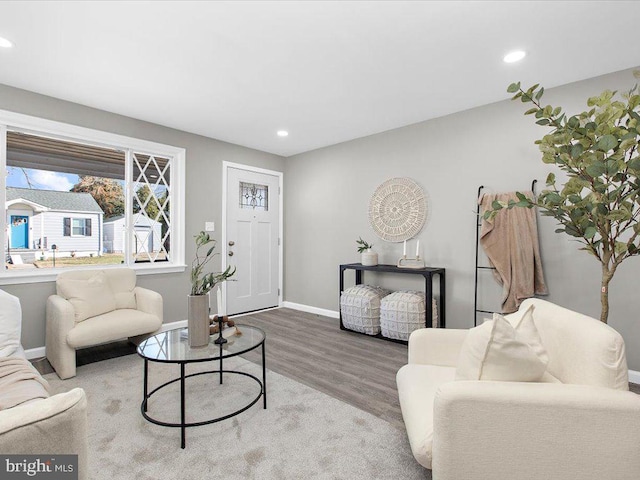 living room featuring hardwood / wood-style flooring