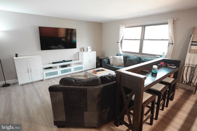 living room with light hardwood / wood-style floors