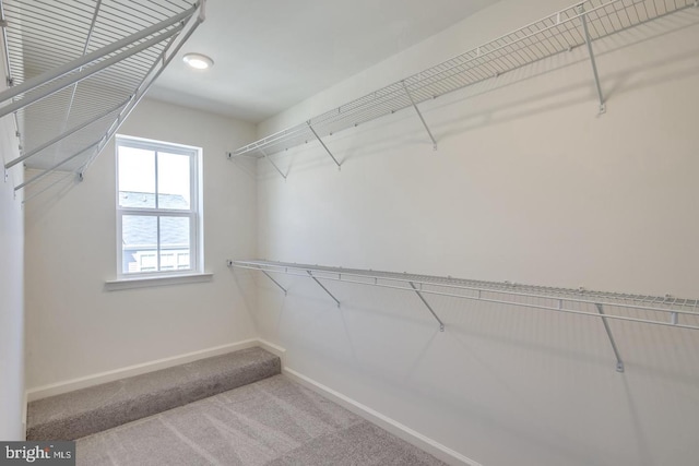 spacious closet with carpet flooring