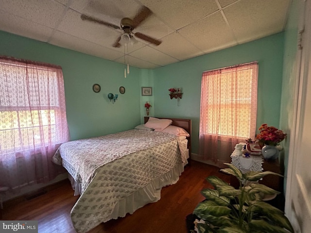 bedroom featuring dark hardwood / wood-style flooring, a drop ceiling, and ceiling fan