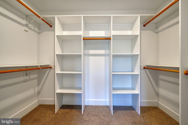 walk in closet with carpet