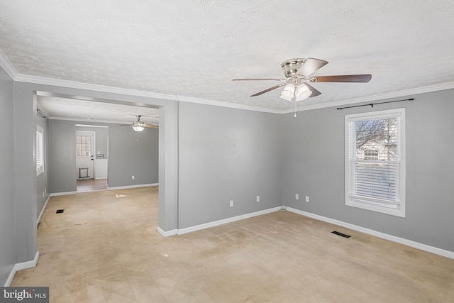 carpeted empty room featuring a wealth of natural light, crown molding, and a textured ceiling