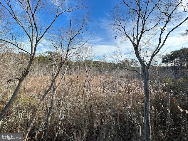 view of landscape