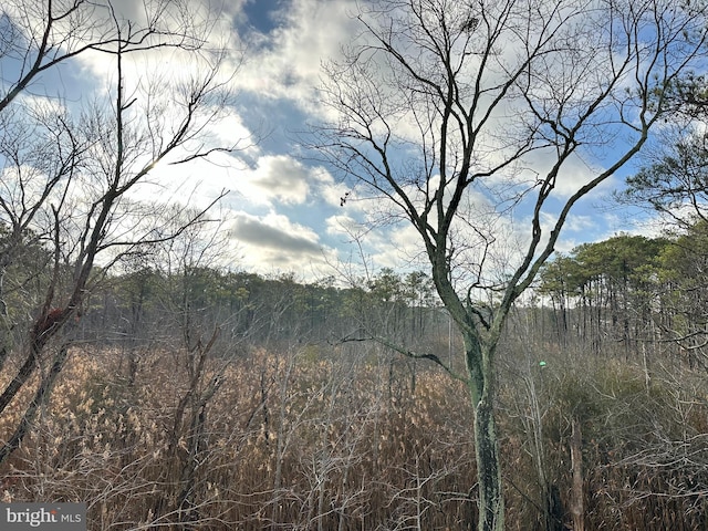 view of local wilderness